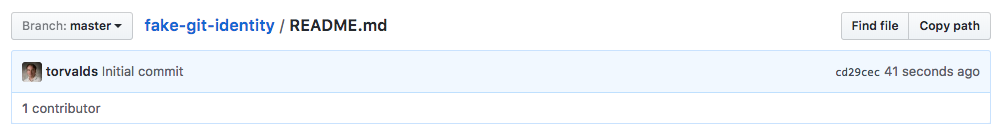 Fake impersonated Git author over GitHub user interface