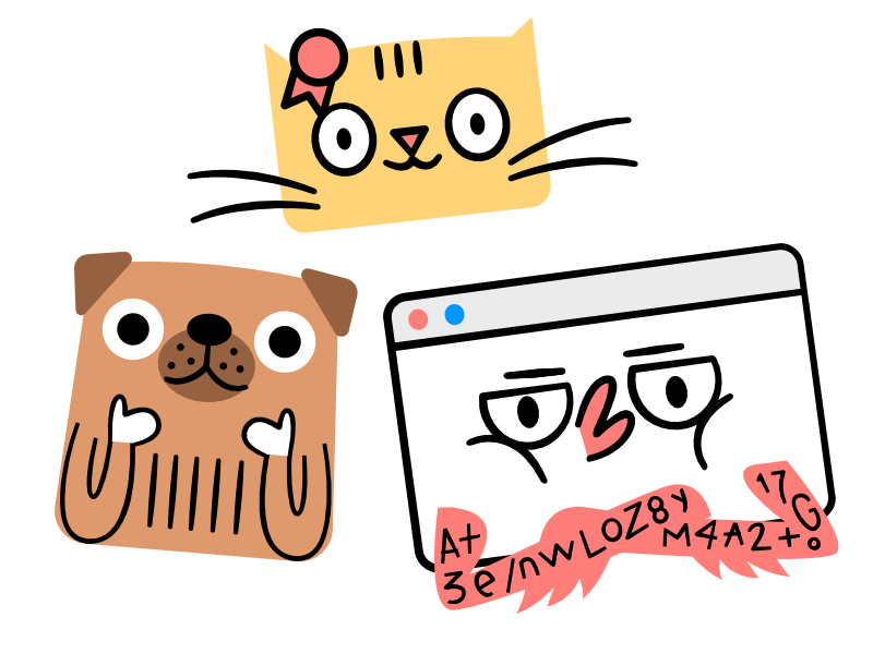 Certificat, the cat